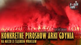 Konkretne piroshow Arki Gdynia na meczu ze Śląskiem Wrocław (30.03.2019 r.)