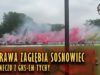 Oprawa Zagłębia Sosnowiec na meczu z GKS-em Tychy (03.06.2018 r.)