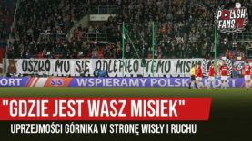 „GDZIE JEST WASZ MISIEK” – uprzejmości Górnika w stronę Wisły i Ruchu (03.05.2019 r.)