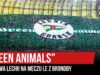 „GREEN ANIMALS” – oprawa Lechii na meczu LE z Brondby IF (25.07.2019 r.)