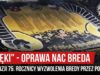„DZIĘKI” – oprawa NAC Breda z okazji 75. rocznicy wyzwolenia Bredy przez Polaków (29.10.2019 r.)
