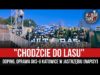 „CHODŹCIE DO LASU” – doping, oprawa GKS-u Katowice w Jastrzębiu [NAPISY] (30.10.2021 r.)